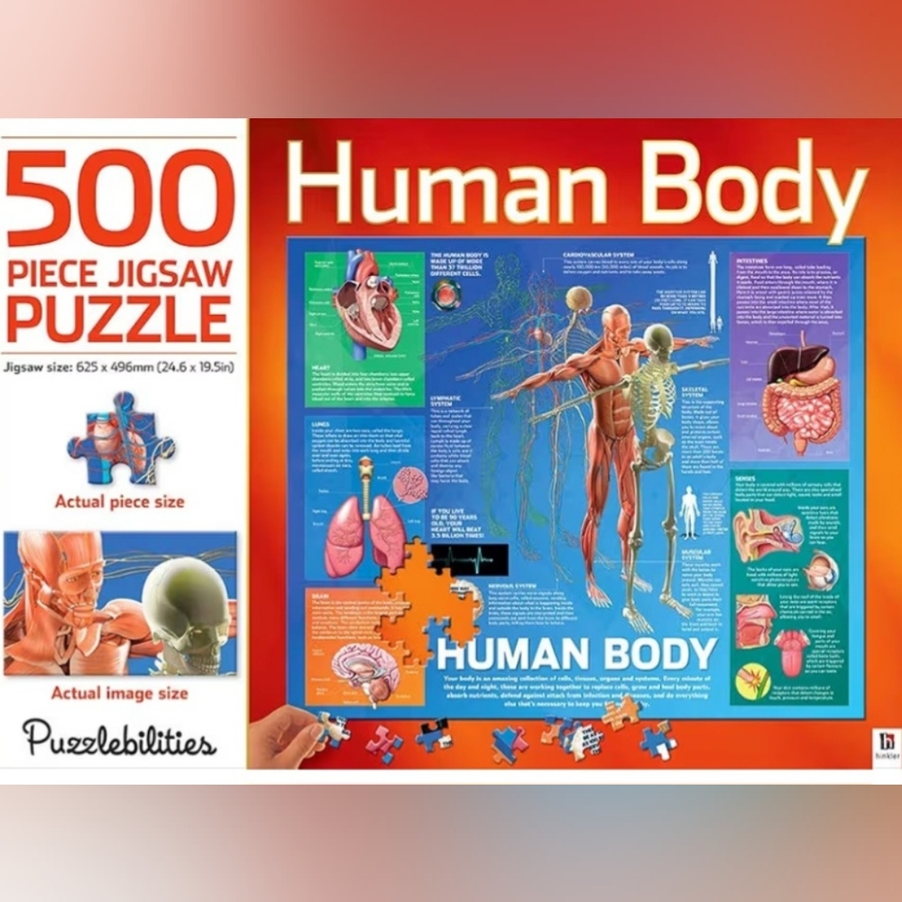 Human Body Jigsaw Puzzle - 500 Pieces